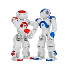 NAO humanoid
